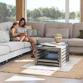 American Silver Birch::Gallery